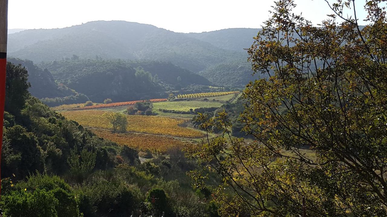 La Loubiere, Ancienne Bergerie En Pleine Garrigue Bed & Breakfast Fraisse-des-Corbieres Luaran gambar
