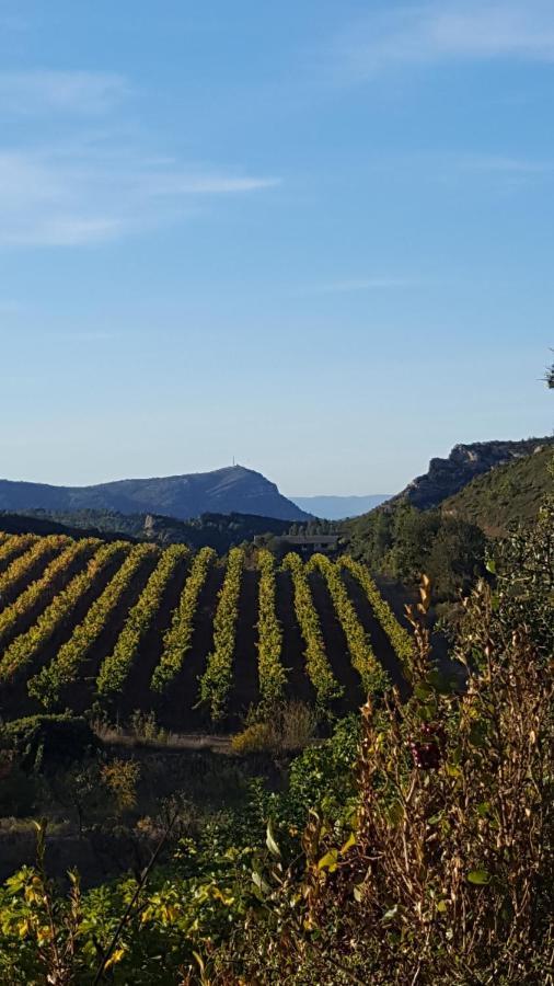 La Loubiere, Ancienne Bergerie En Pleine Garrigue Bed & Breakfast Fraisse-des-Corbieres Luaran gambar