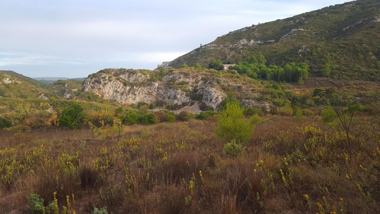 La Loubiere, Ancienne Bergerie En Pleine Garrigue Bed & Breakfast Fraisse-des-Corbieres Luaran gambar