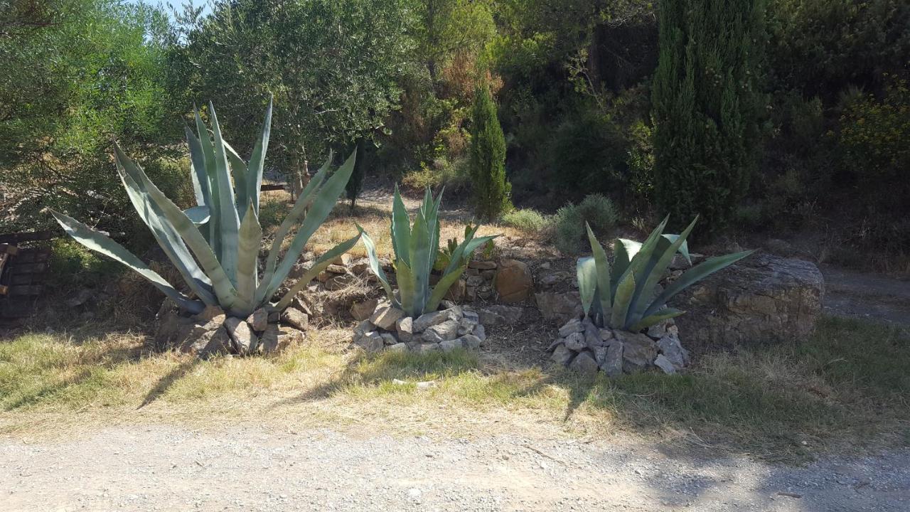 La Loubiere, Ancienne Bergerie En Pleine Garrigue Bed & Breakfast Fraisse-des-Corbieres Luaran gambar